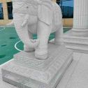 包头 白麻花岗岩动物异形石雕-大象